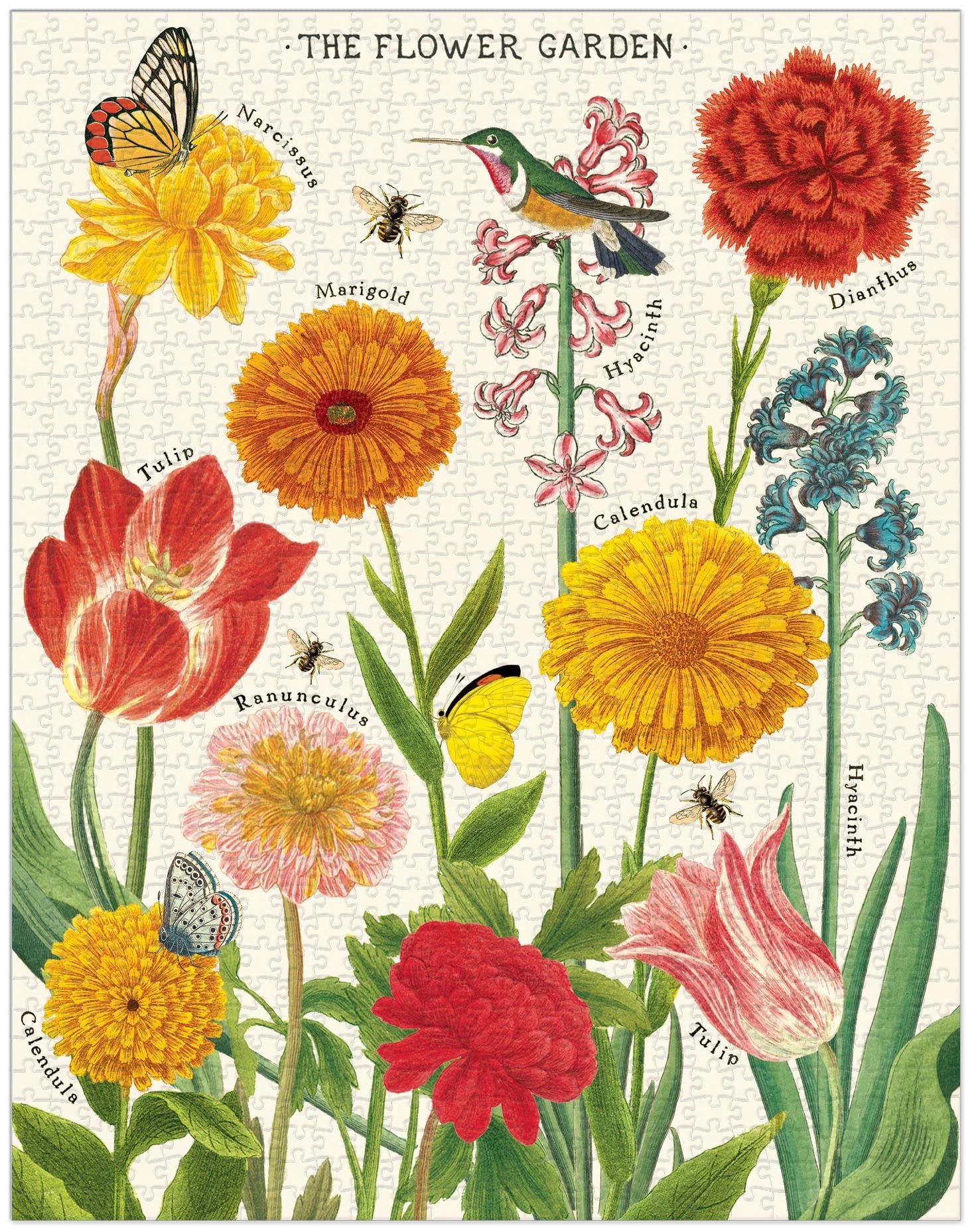 カヴァリーニ　ジグソーパズル　植物 Amazon.com: Cavallini Papers & Co. House Plants 1,000 Piece